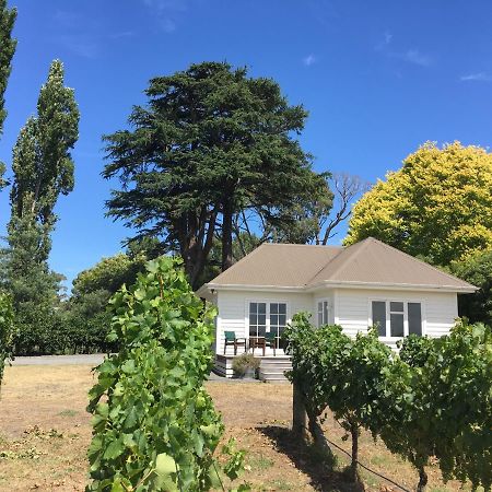 Tuki Vineyard Cottage 北哈夫洛克 外观 照片