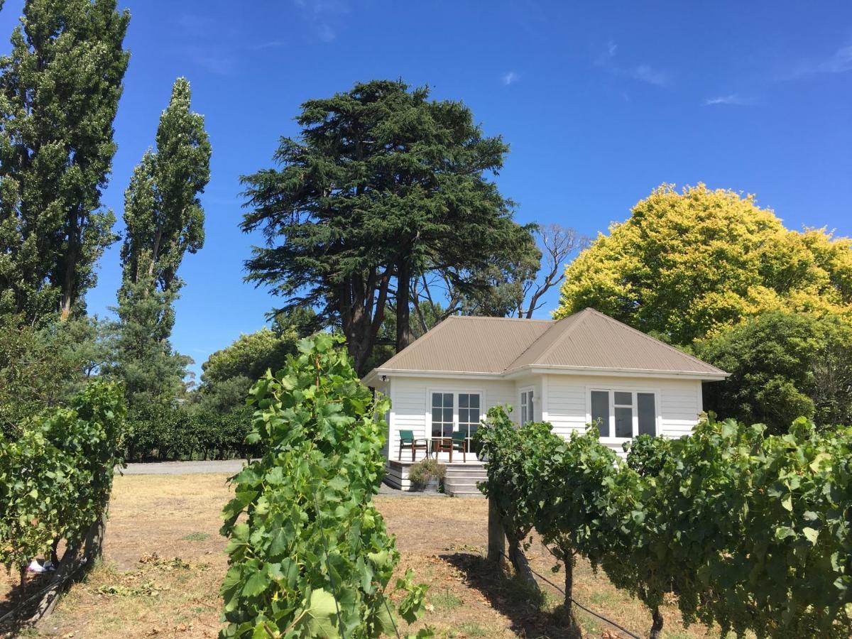 Tuki Vineyard Cottage 北哈夫洛克 外观 照片