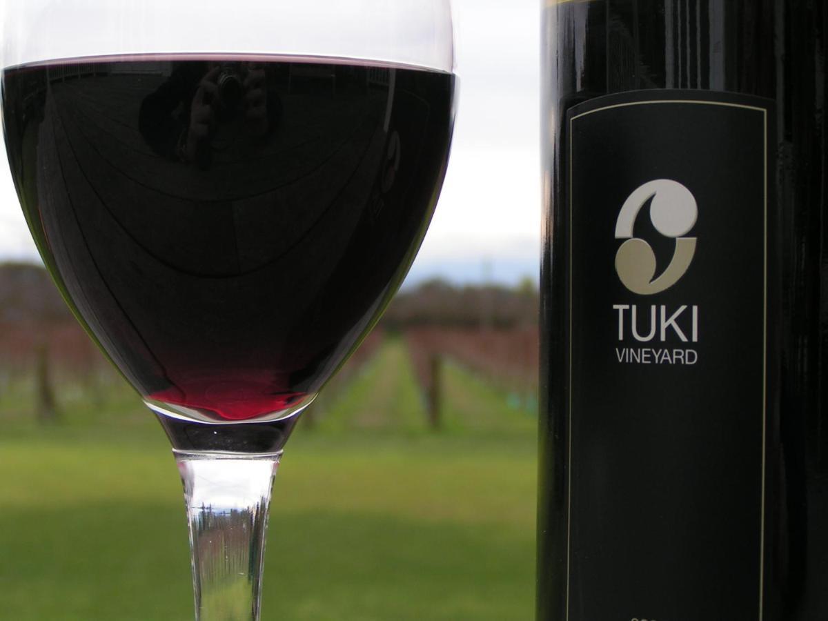 Tuki Vineyard Cottage 北哈夫洛克 外观 照片