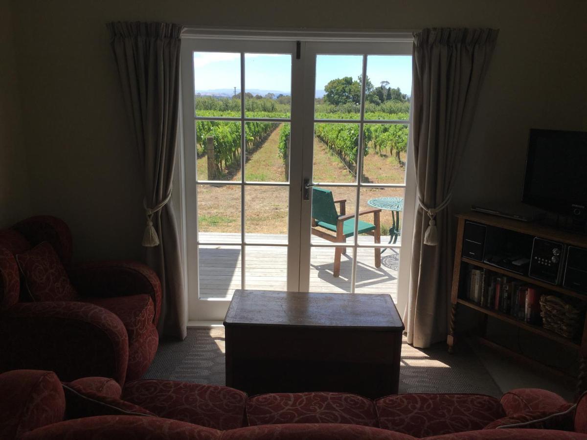 Tuki Vineyard Cottage 北哈夫洛克 外观 照片